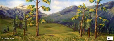 Mountain Forest