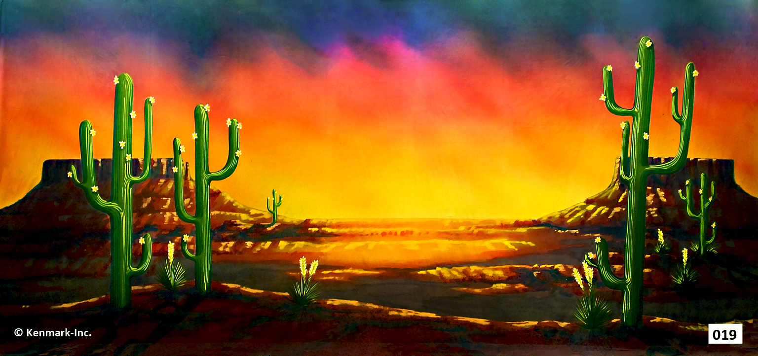 Southwest Desert