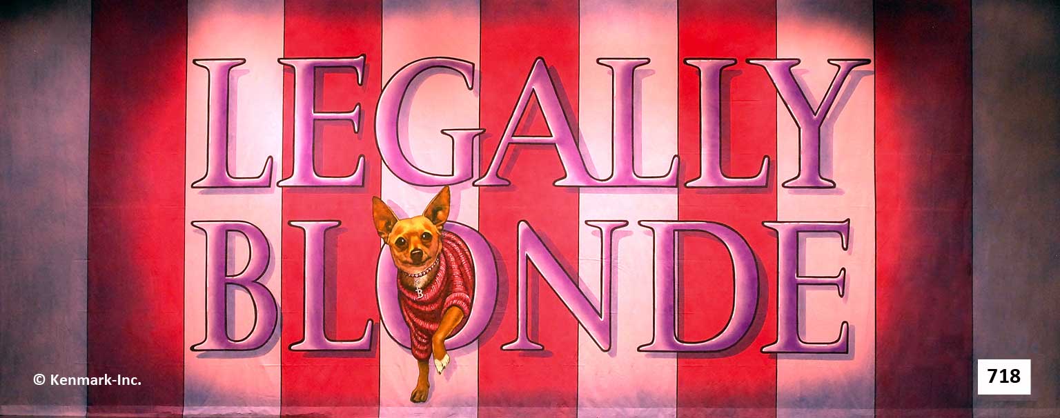 Legally Blonde Package 1 20x48