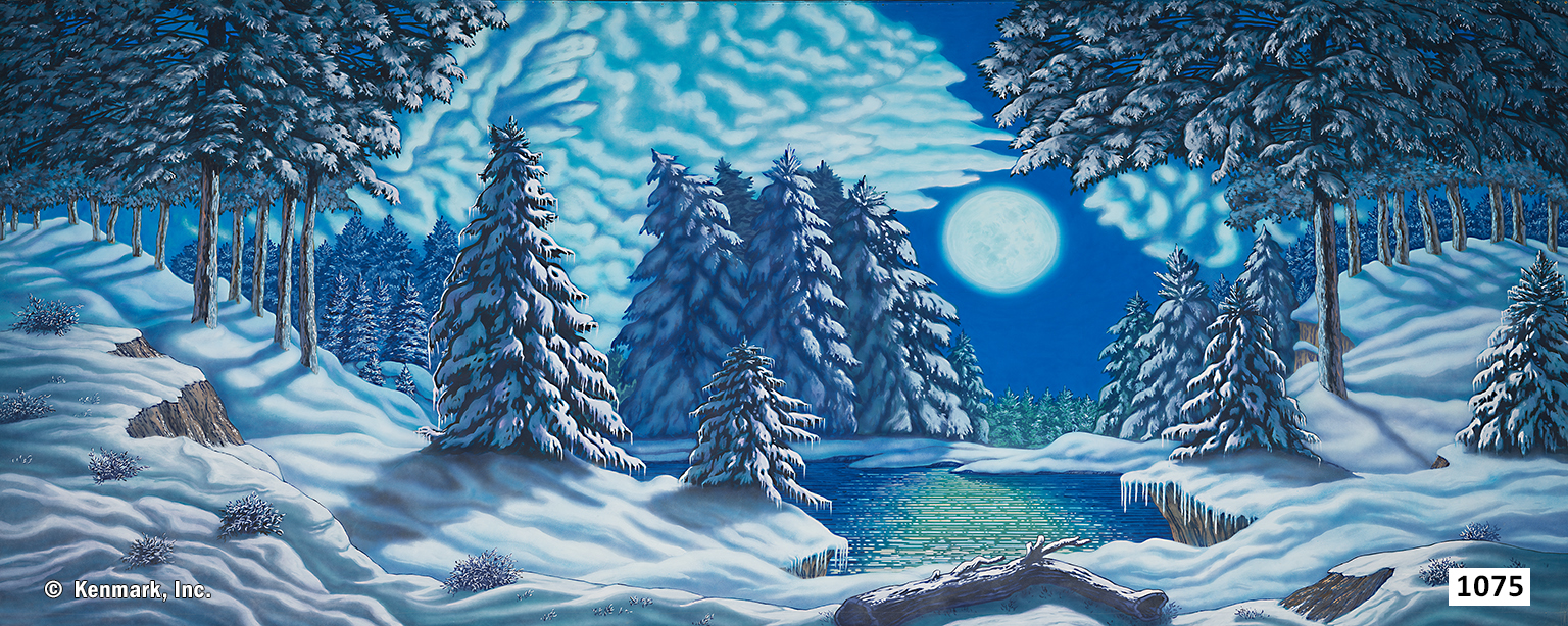 D1075 Snow Forest with Moon 20' x 50'