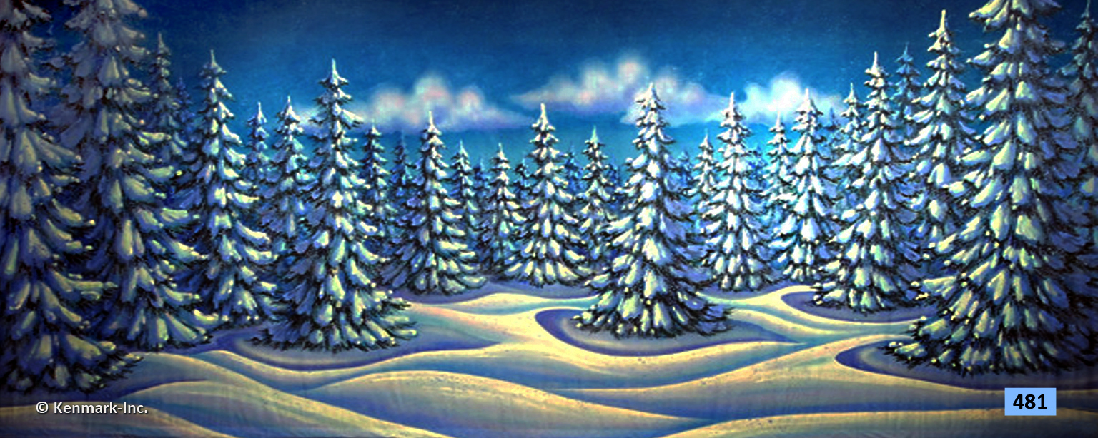 D481 Snow Forest