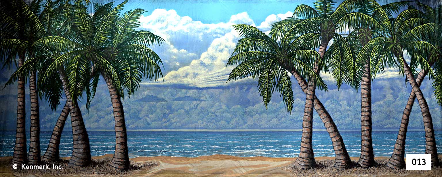 D013 Beach Scene & Palm Trees