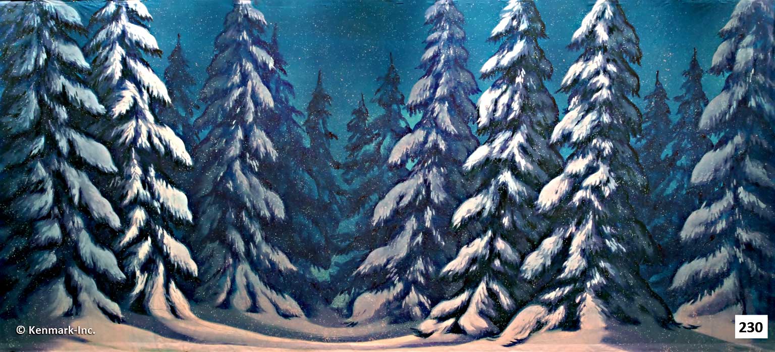 D230 Snow Forest