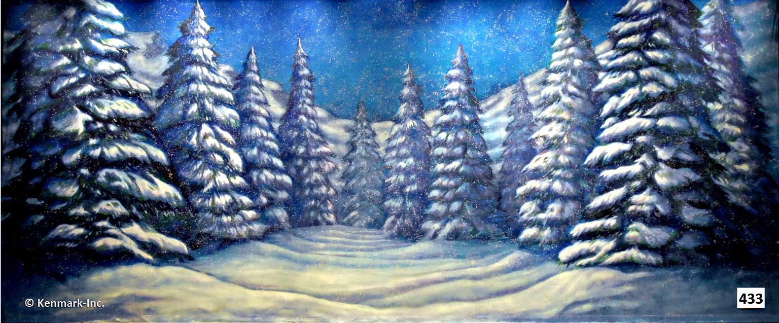 443 Snow Forest